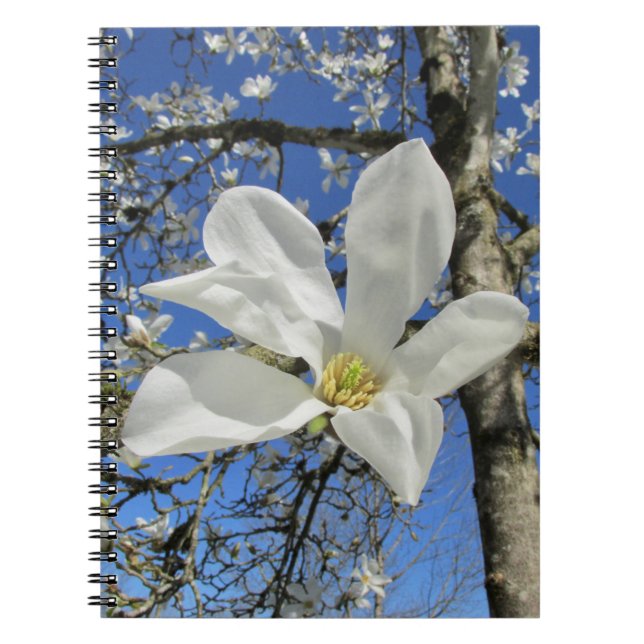 White Magnolia Flower i Träd. Anteckningsbok (Framsidan)