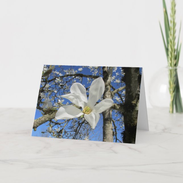 White Magnolia Flower i Träd Kort (Framsida)