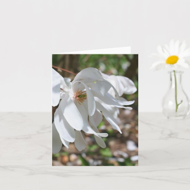 White Magnolia Flower Personalized Note Kort (Liten växt)