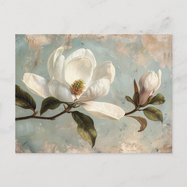 White Magnolia Flowers Vintage Vykort (Framsida)