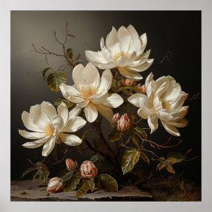 White Magnolia gren med blommar Poster
