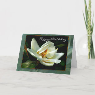 White Magnolia med Grönt Gräns Kort