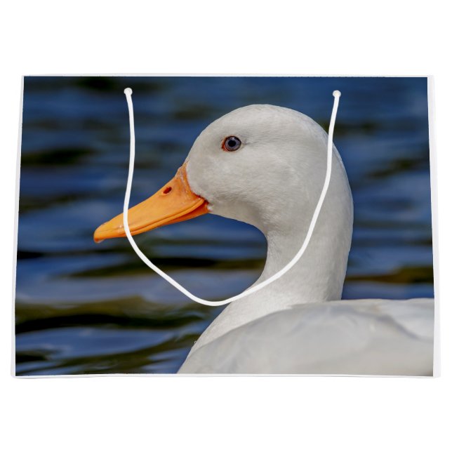 White Mallard Anka (Framsidan)