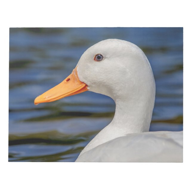 White Mallard Anka Anteckningsblock (Framsida)
