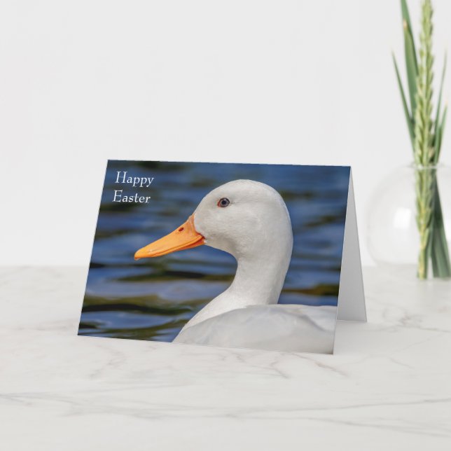 White Mallard Anka Helgkort (Framsida)