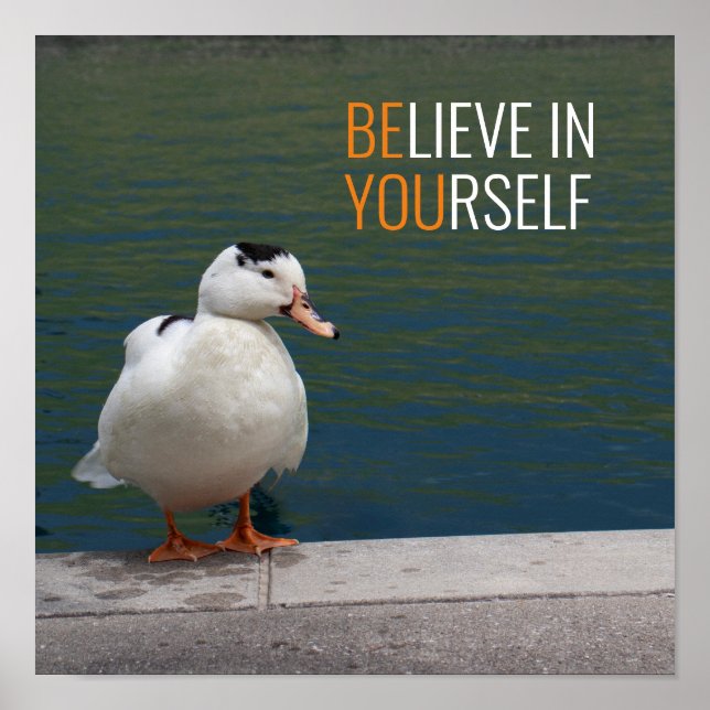 White Mallard Anka Photo Poster (Framsidan)