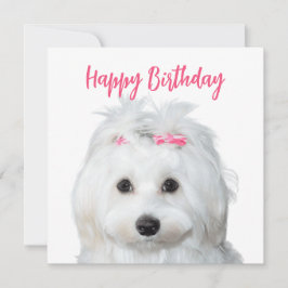 White Malta Tender Sweetness Julkort