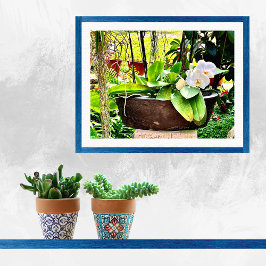 White Måne Orchid Poster