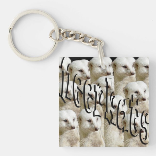 White Meerkat Army (Framsidan)