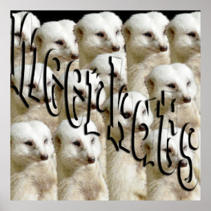 White Meerkat Army and Logotyp Poster