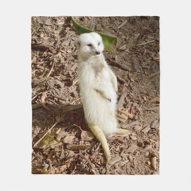White Meerkat, Medium Fleece Blanket. (Framsidan)