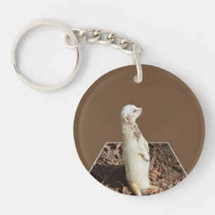 White Meerkat on Guard Duty