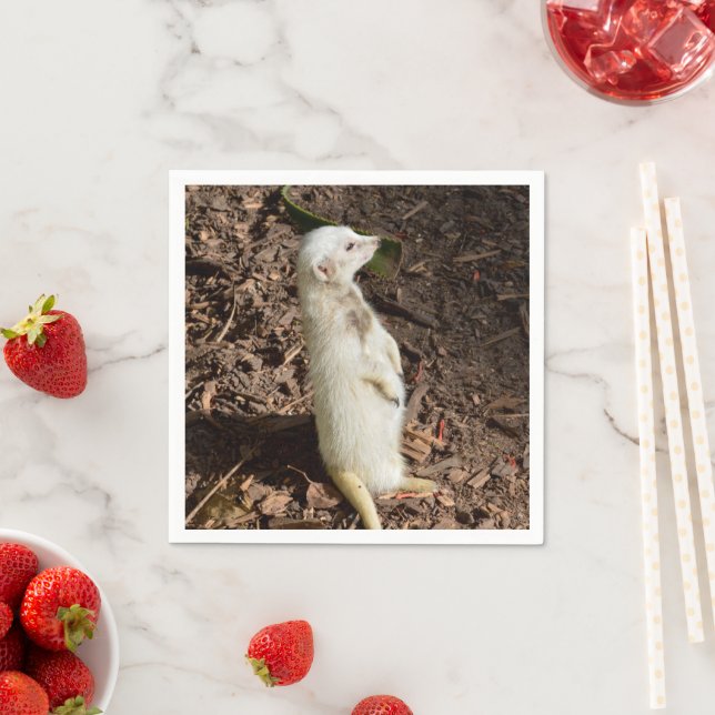 White Meerkat Permanent, Pappra Party Napkins Pappersservett (Insitu)
