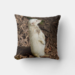 White Meerkat Stand, Cushion Kudde