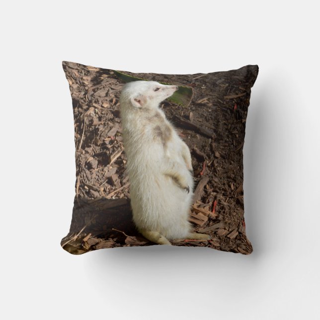 White Meerkat Stand, Cushion Kudde (Framsida)