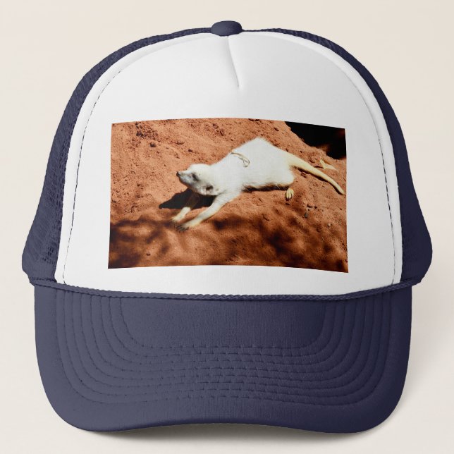 White Meerkat Stretching, Truckers Hat Keps (Framsida)