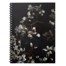 White moody flowers on dark background