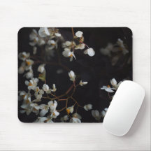 White moody flowers on dark background