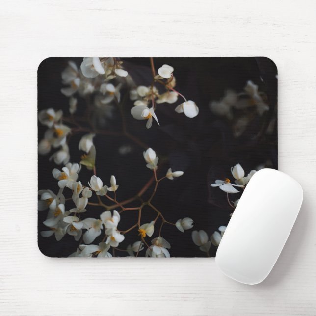 White moody flowers on dark background musmatta (Med mus)