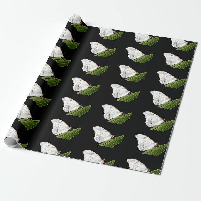 White Morpho-fjäril på löv Presentpapper (Utrullad)