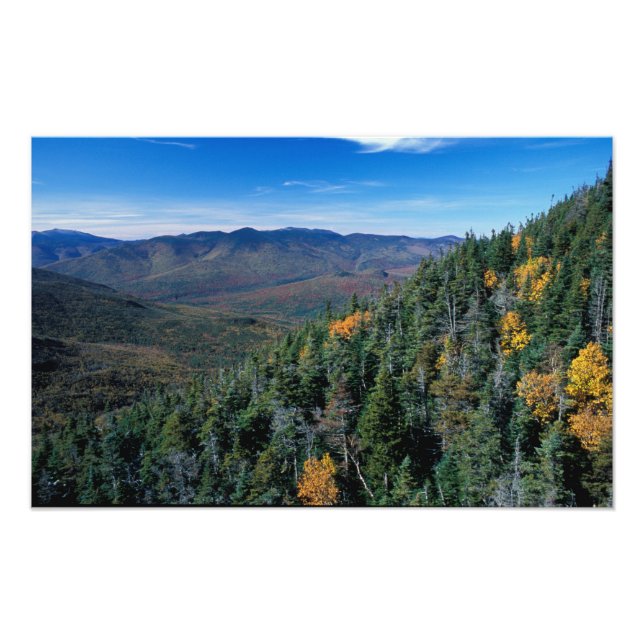 White Mountain N.F., NH. Vyn från nära håll Fototryck (Framsidan)