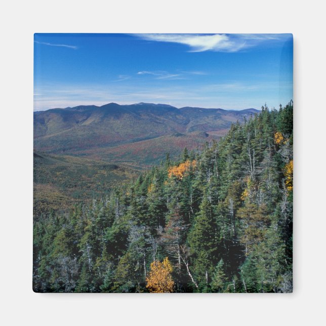 White Mountain N.F., NH. Vyn från nära Magnet (Framsidan)
