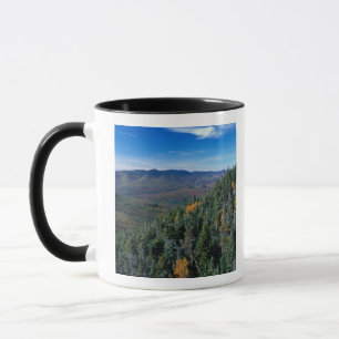 White Mountain N.F., NH. Vyn från nära Mugg