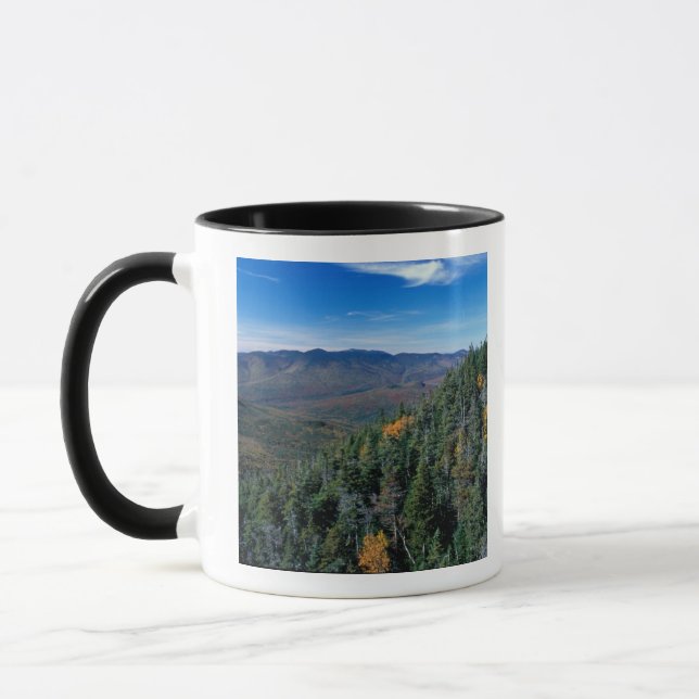White Mountain N.F., NH. Vyn från nära Mugg (Vänster)