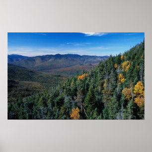 White Mountain N.F., NH. Vyn från nära Poster