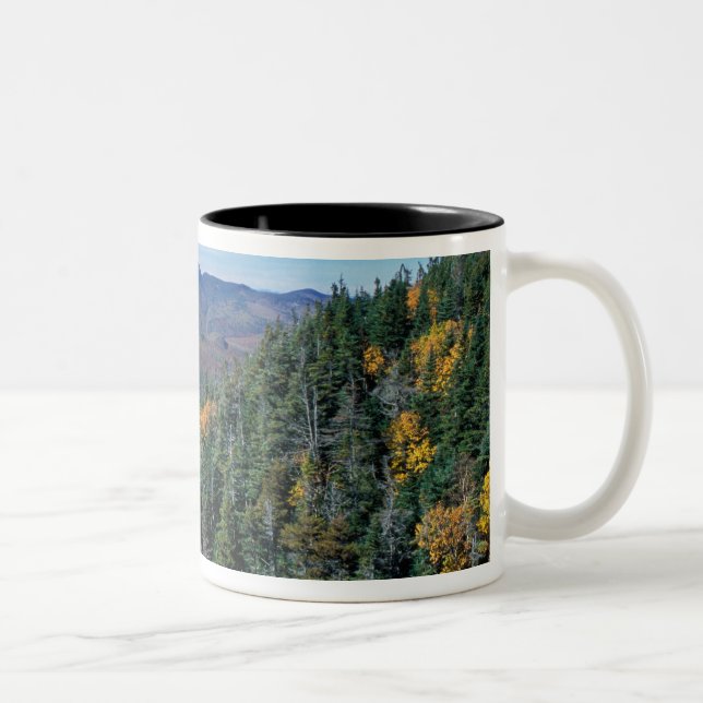 White Mountain N.F., NH. Vyn från nära Två-Tonad Mugg (Höger)
