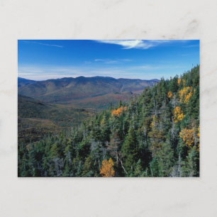 White Mountain N.F., NH. Vyn från nära Vykort