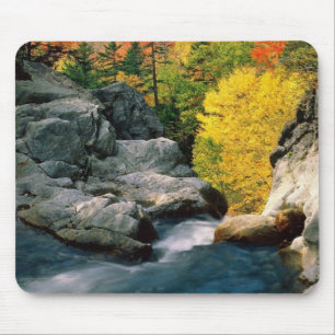 White Mountain National Forest, NH Musmatta