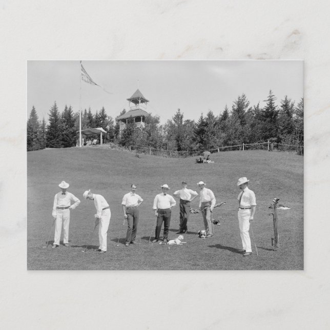White Mountains Golfare, 1910 Vykort (Framsida)