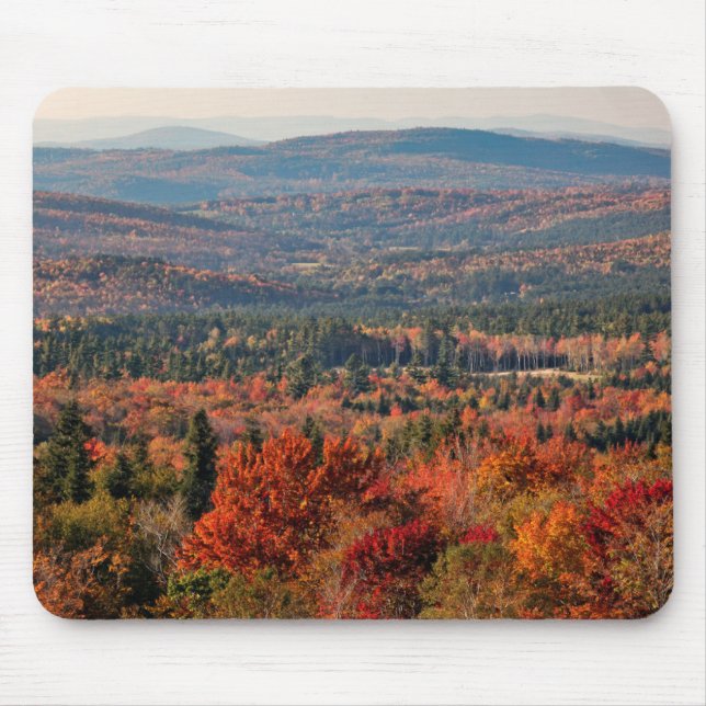White Mountains National Forest | New Hampshire Musmatta (Framsidan)