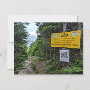 White Mountains New Hampshire Postcard Vykort