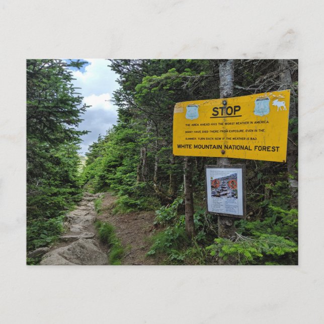 White Mountains New Hampshire Postcard Vykort (Framsida)