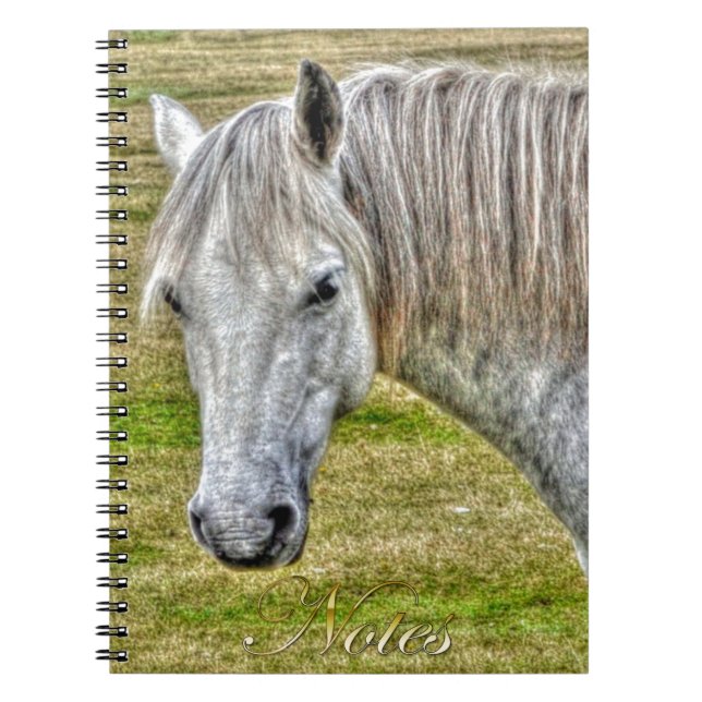 White New Forest Pony Vild Horse Anteckningsbok (Framsidan)