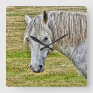 White New Forest Pony Vild Horse Fyrkantig Klocka