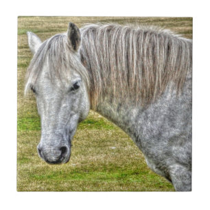 White New Forest Pony Vild Horse Kakelplatta