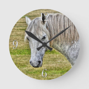 White New Forest Pony Vild Horse Rund Klocka