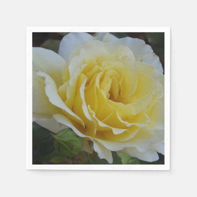 White och Gul ros Napkins Pappersservett (Framsidan)