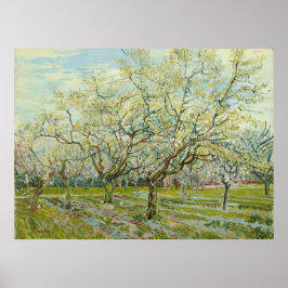 White Orchard av Vincent Van Gogh Poster
