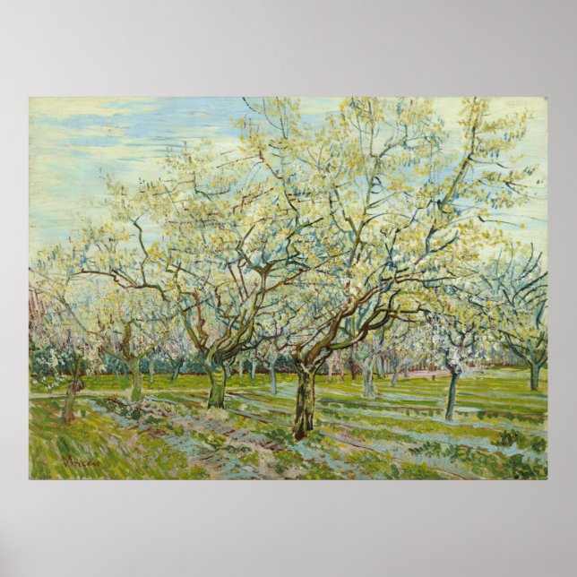 White Orchard av Vincent Van Gogh Poster (Framsidan)
