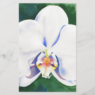 White Orchid Brevpapper