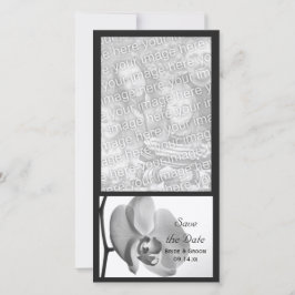 White Orchid Bröllop spara datum Datumet