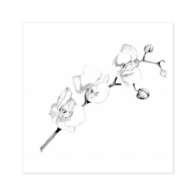 White Orchid Dream Elegant Feminine Chic Art Stämpel (Tryck)