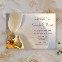White Orchid Elegance Bröllop