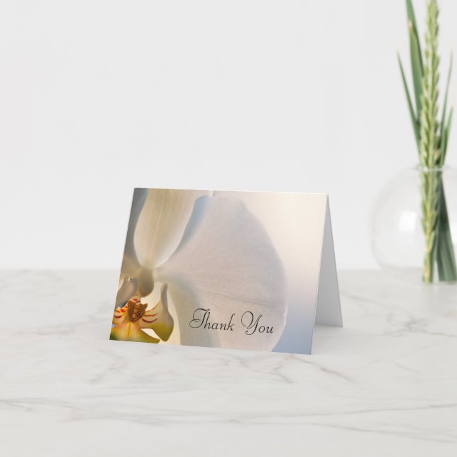 White Orchid Elegance Tack (Framsida)