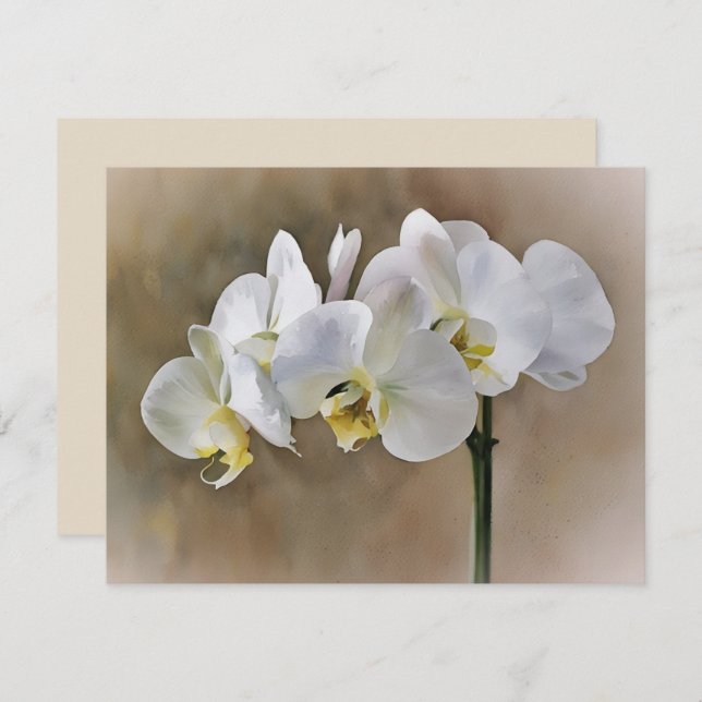 White Orchid Flowers Art Note Card Set  Anteckningskort (Fram/baksida)