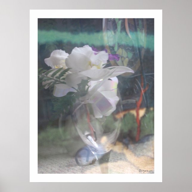 White Orchid Flowers Bouquet Poster utskrifter (Framsidan)